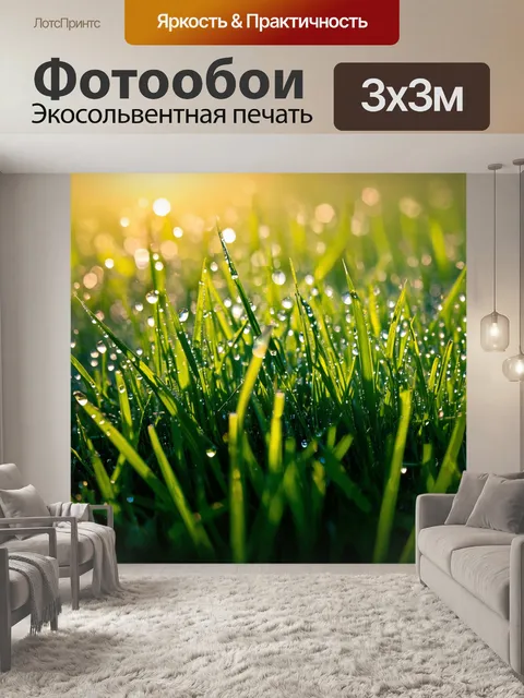 Фотообои трава на утреннем солнце, покрытая капельками росы, создающая гармоничное настроение и теплую атмосферу