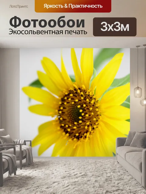 Фотообои Подсолнечник