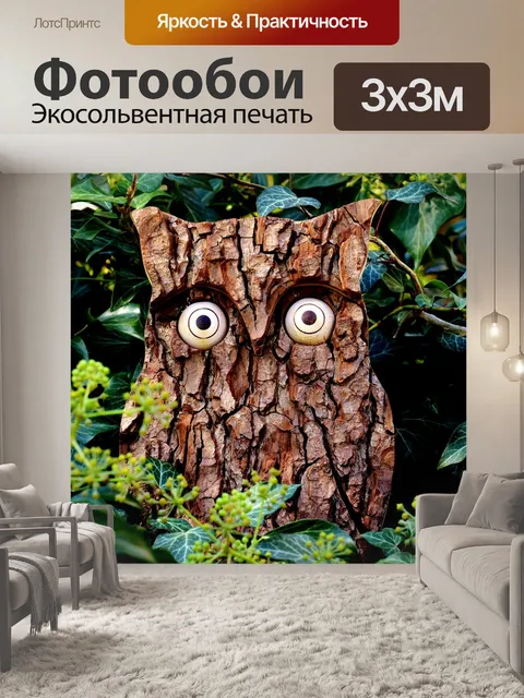 Фотообои Сова