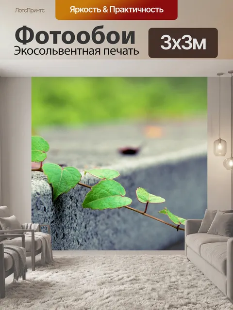 Фотообои Лоза