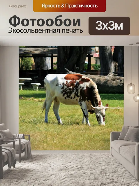 Фотообои выпас крупного рогатого скота
