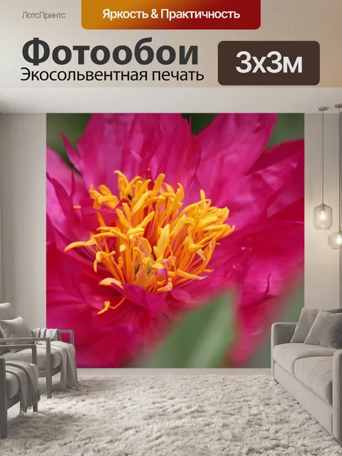 Фотообои Пион