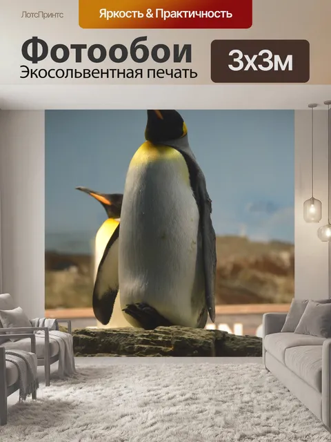 Фотообои Пингвин