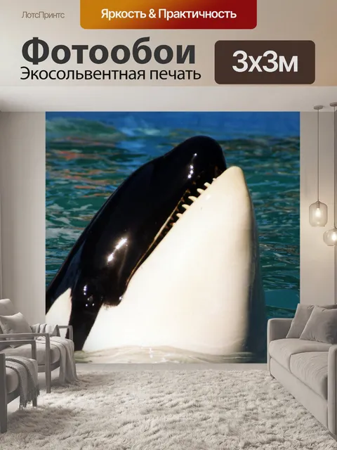 Фотообои Кит