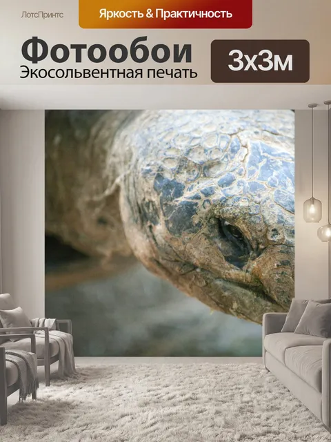 Фотообои Голова черепахи