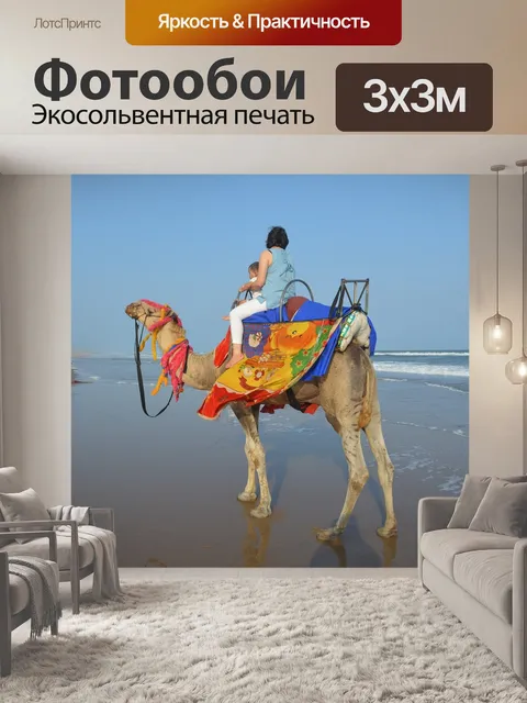 Фотообои Верблюд