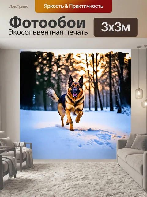 Фотообои немецкая овчарка, играющая на заснеженном пейзаже, где белоснежный снег искрится под солнечными лучами