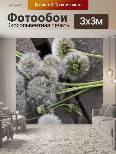 Фотообои Вблизи