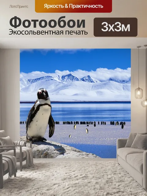 Фотообои Лед