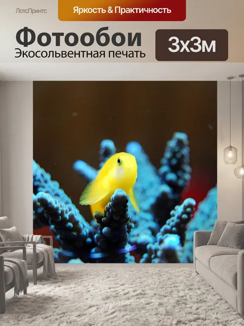 Фотообои Коралл