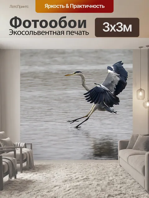 Фотообои Серая цапля