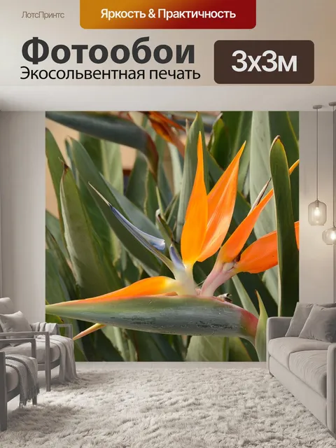 Фотообои Райская птица цветок