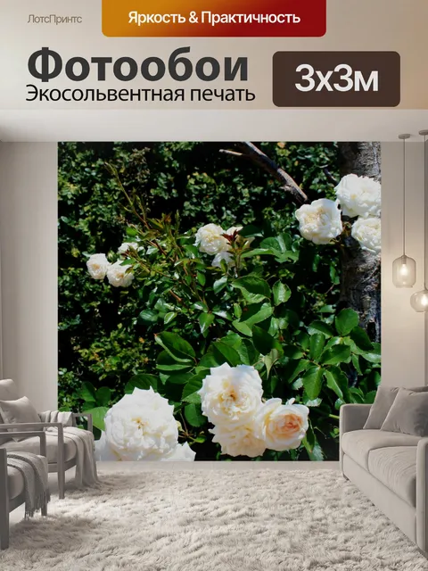 Фотообои Розовый куст с бледно-розовыми розами