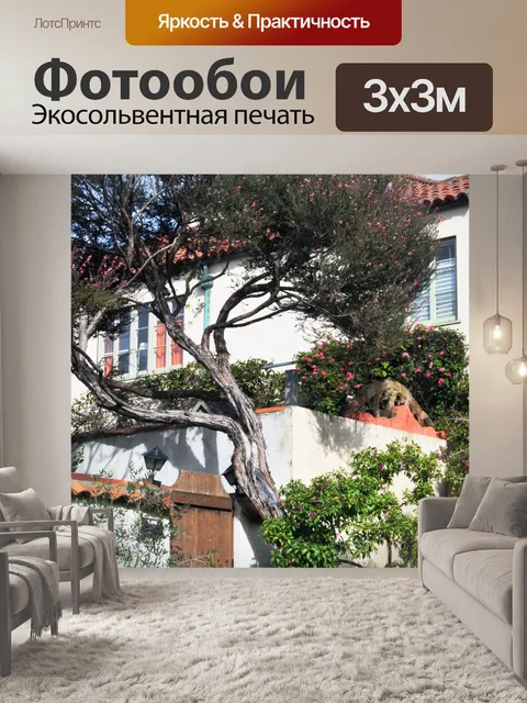 Фотообои Средиземноморский Главная