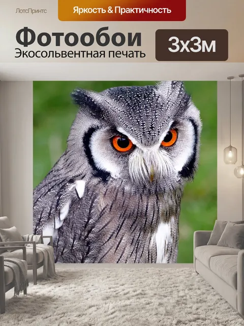 Фотообои Юга сталкиваются белая сова