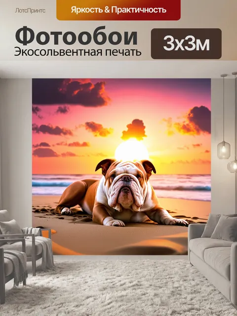 Фотообои арахисовый бульдог, лежащий на пляже с ярким закатом на фоне, облака окрашены в розовые и оранжевые оттенки