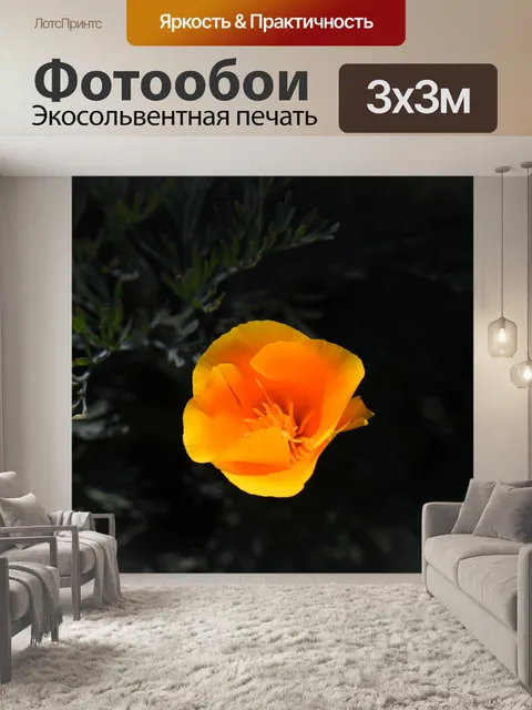 Фотообои Калифорнийский мак