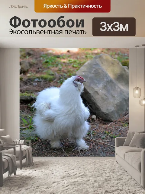 Фотообои Животное