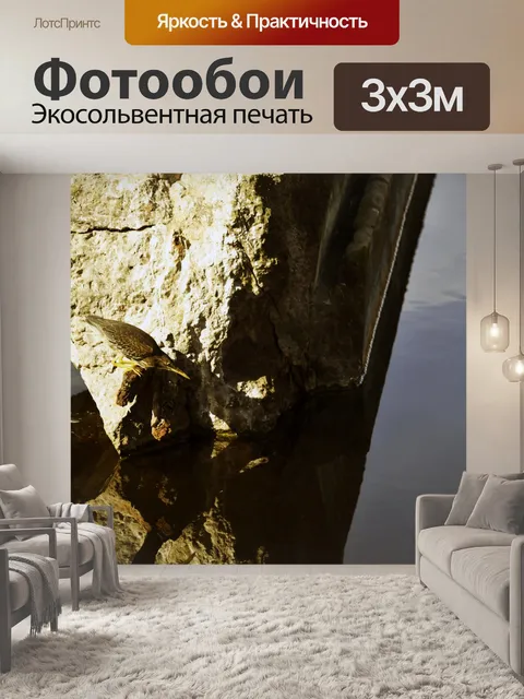 Фотообои Зеленый цапля Рыбалка