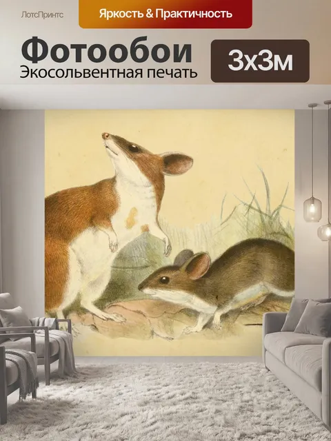 Фотообои Деревянная Мышь Винтажное Искусство