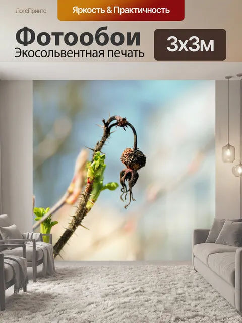 Фотообои Контраст