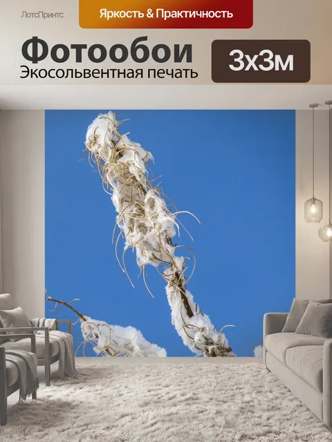 Фотообои Засохший