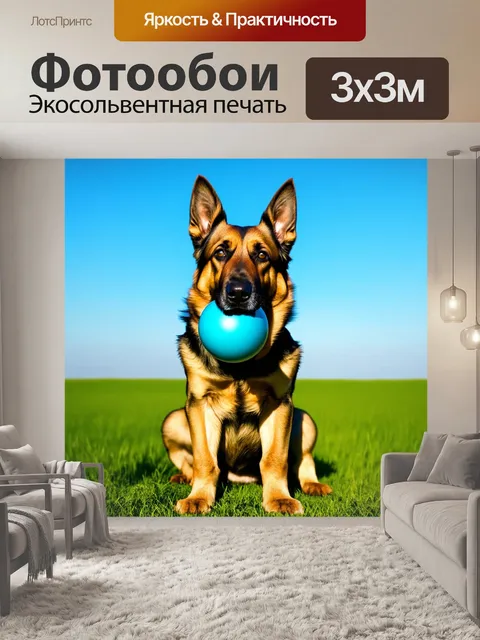 Фотообои немецкая овчарка, держащая мяч в зубах, на фоне ясного синего неба и зеленого поля