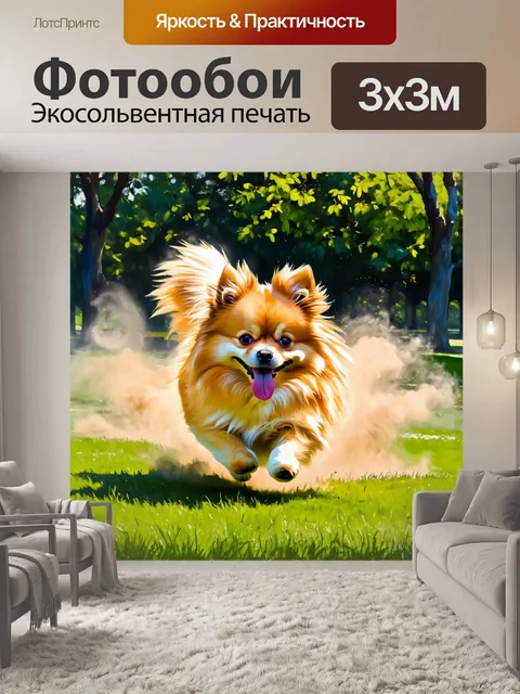 Фотообои на свежем воздухе, в зелёном парке, померанский шпиц весело скачет по траве, оставляя за собой облако пыли