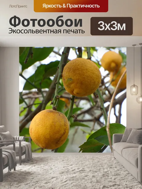 Фотообои Цитрусовые