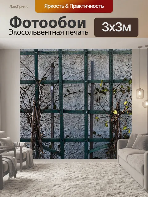 Фотообои Шпалера на Штукатурка