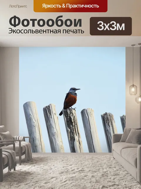 Фотообои Животное