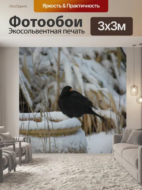 Фотообои Птица