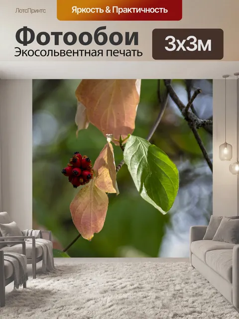 Фотообои Осенние ягоды