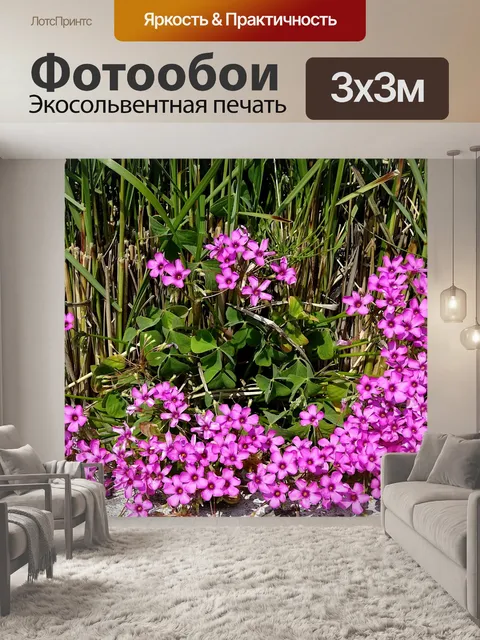 Фотообои Флора на садовой стене