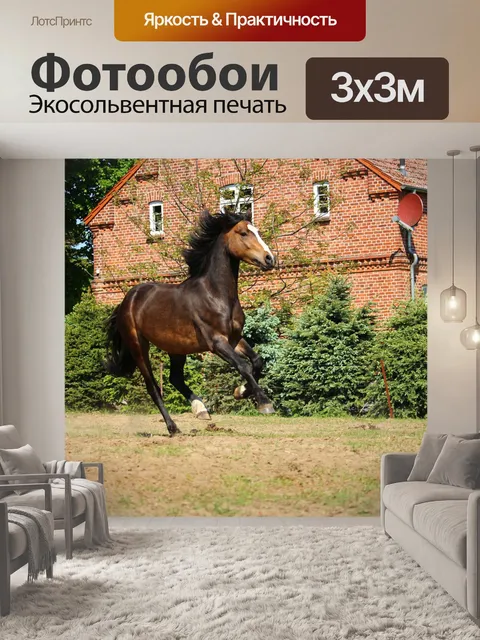 Фотообои Лошадь