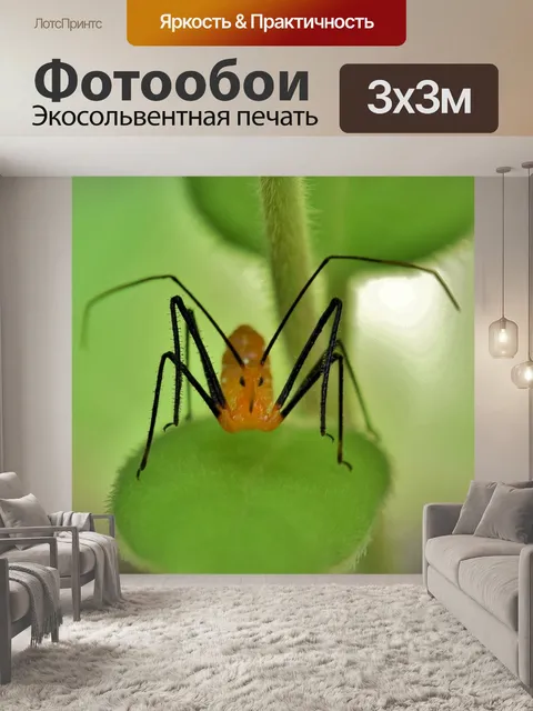 Фотообои Нимфа-убийца