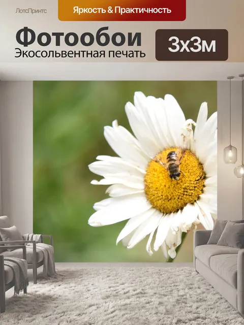 Фотообои Цветы