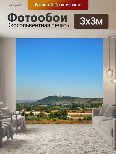 Фотообои вид swartkop, сотнику