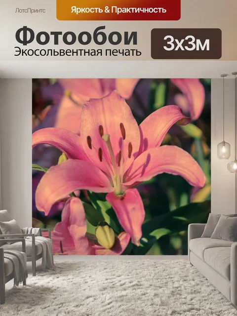 Фотообои Розовая лилия