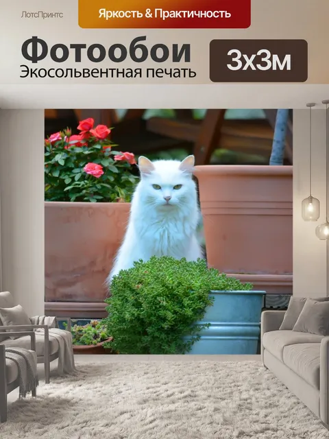 Фотообои Кошка
