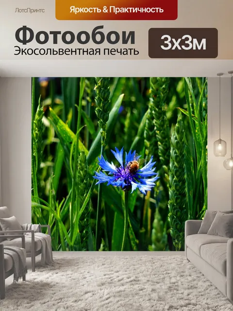 Фотообои Васильковый