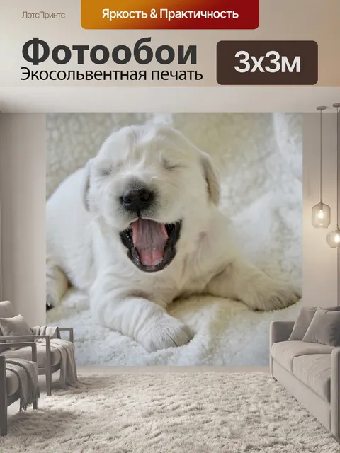 Фотообои Щенок