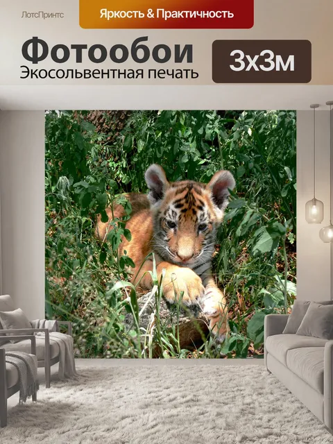 Фотообои Тигренок в подлеске