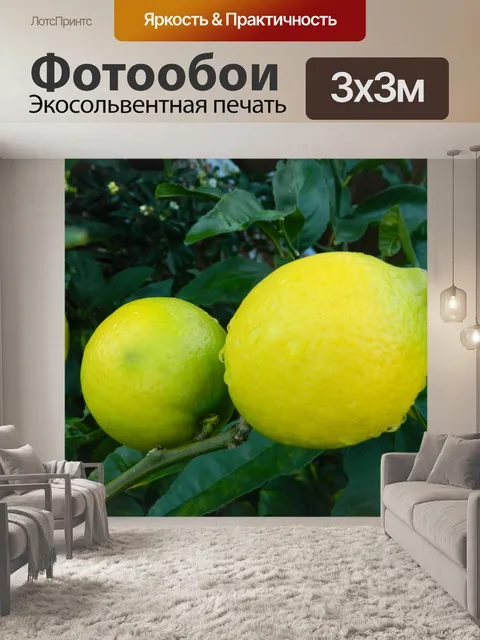 Фотообои Лимоны на дереве