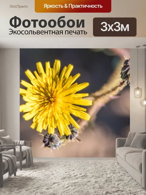 Фотообои Цветок
