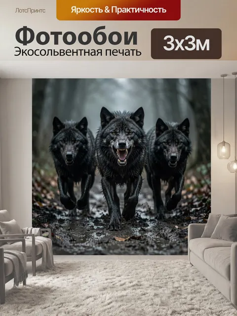 Фотообои Три свирепых черных волка
