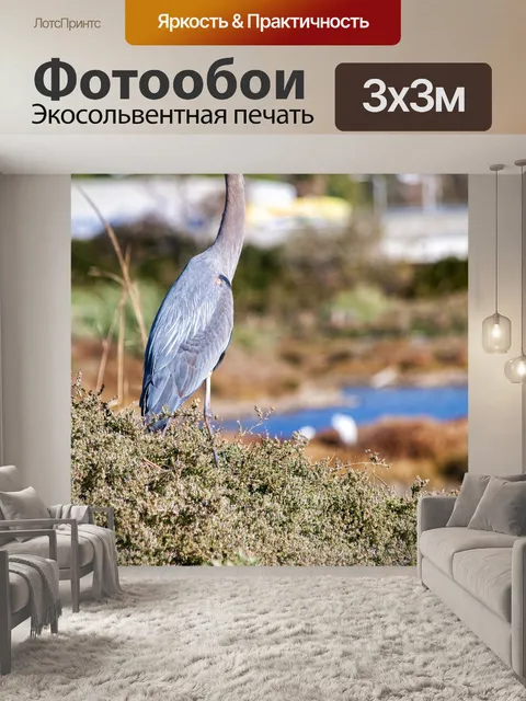 Фотообои Голубая цапля