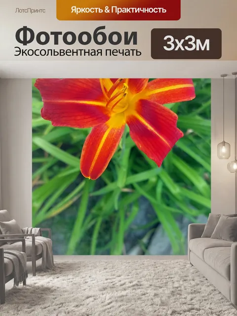 Фотообои оранжевый и желтый цветок лилии