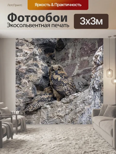 Фотообои Птицы