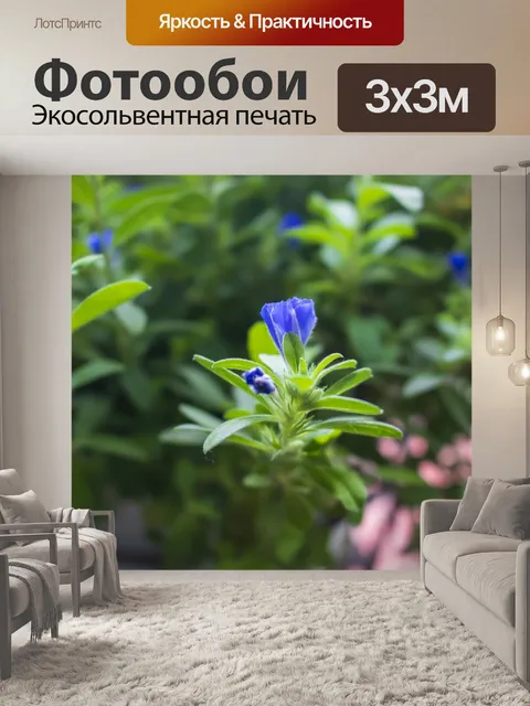 Фотообои Цветок